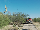 The jeep caravan on the road