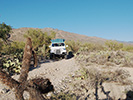 Photo on the jeep trail