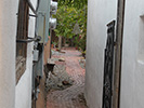 The area around the Old Town Plaza if full of interesting alleyways