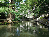 There was a scenic shot every block along the river cruise