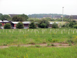 Trainer storage building on far right with young trees in foreground. Submitted by Chuck Schabel